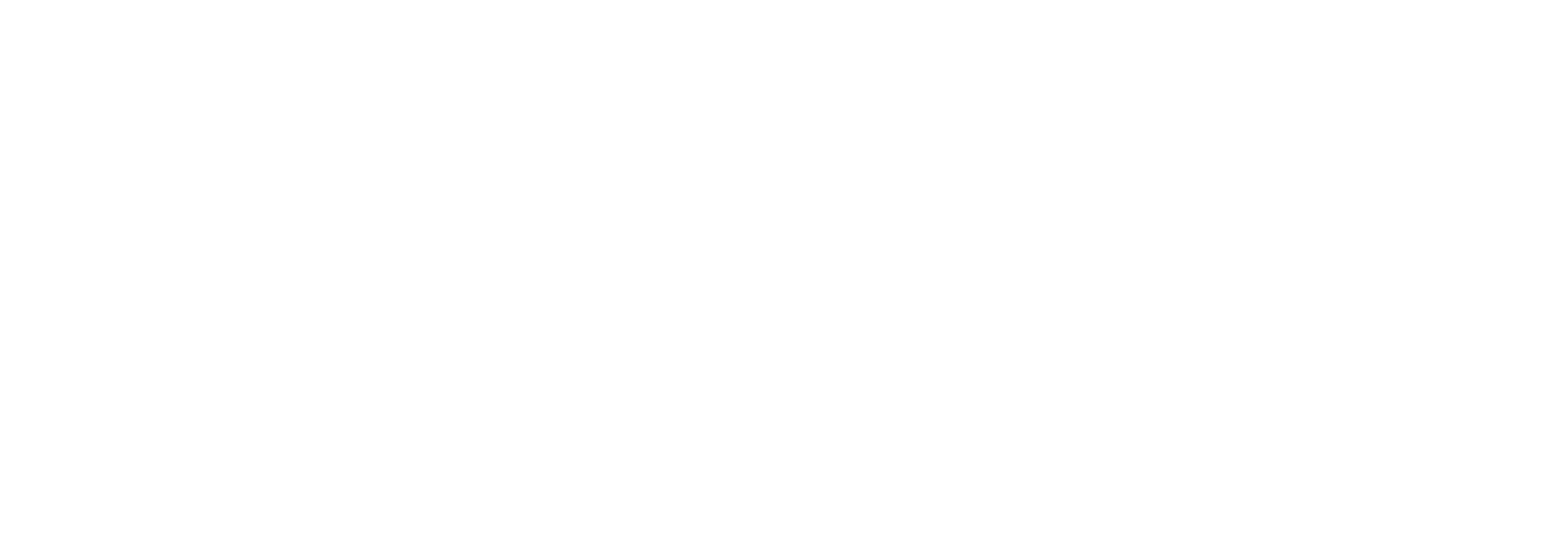 Logo 9