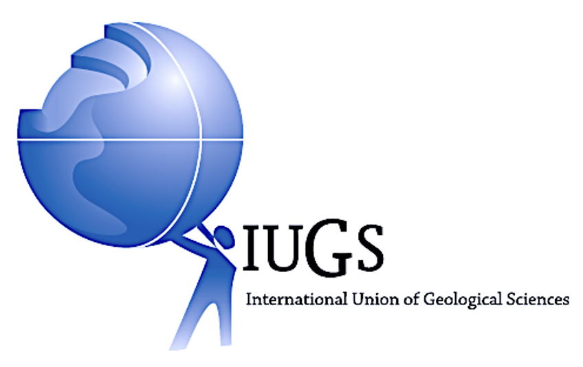 Logo 9