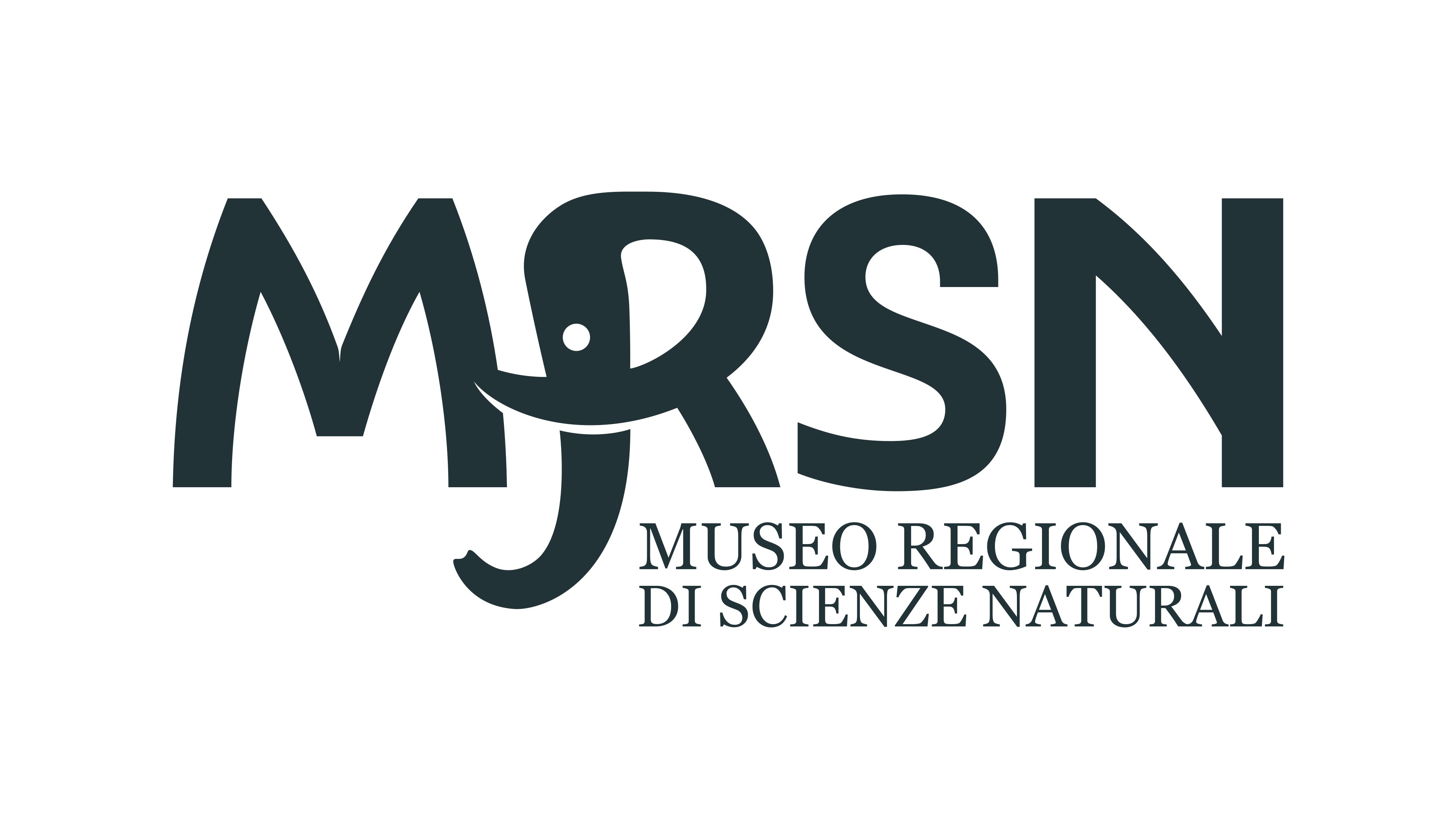 Logo 9